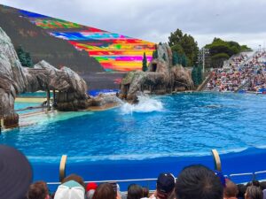 Sea World San Diego