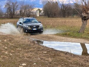 Subaru Legacy Outback