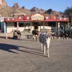 Kingman On Route 66