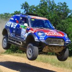 Hungarian Baja 19