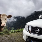 Nissan Navara N Guard