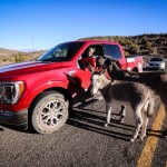 Ford F150 King Ranch