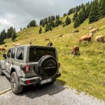 Ecotour Carnia 4x4 agosto 22