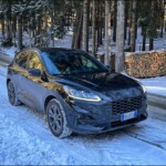 bosco inverno ford kuga