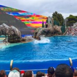 Sea World San Diego