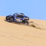 Dune Sealine